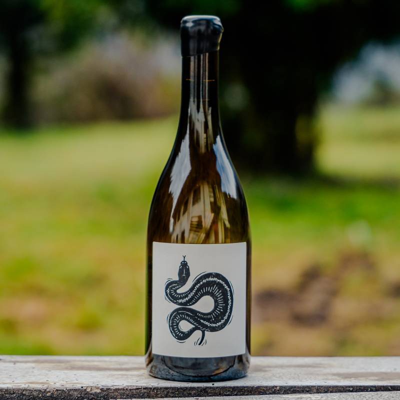 Shadows Saint-Aubin 1er Cru La Combe