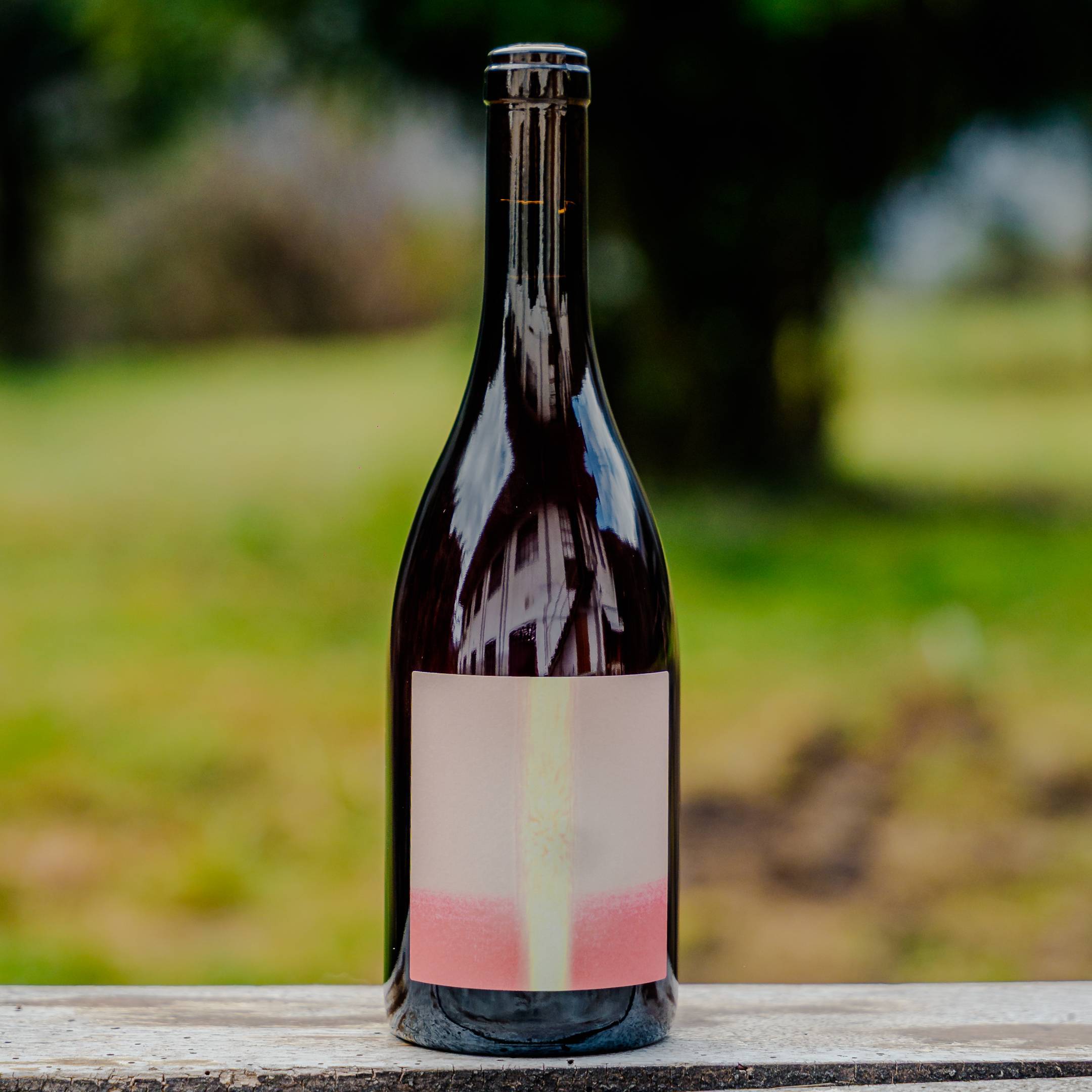 Vin Noé Jonathan Purcell T Qui Rit 2024