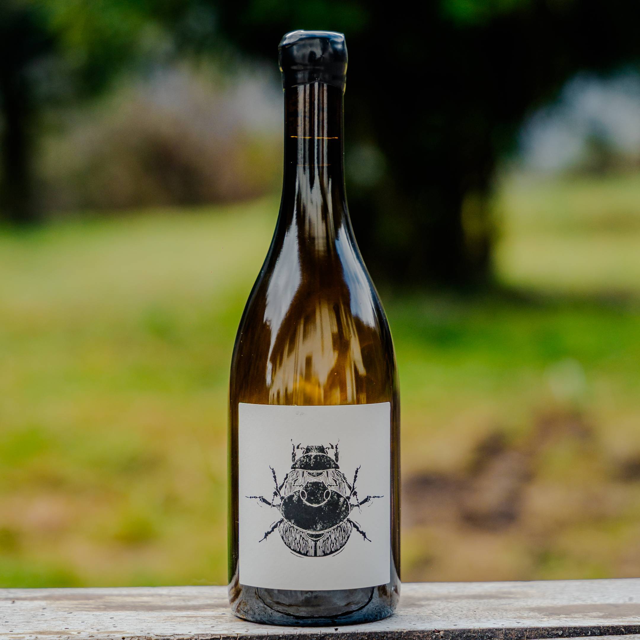 Vin Noé Jonathan Purcell Superposition Puligny-Montrachet Le Trezin