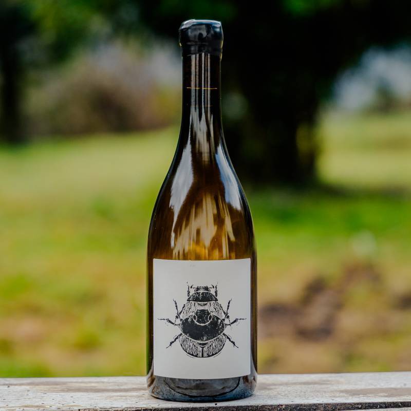 Superposition Puligny-Montrachet Le Trezin