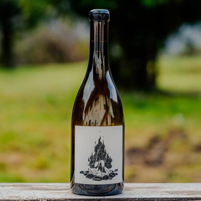 Saint Aubin 1er Cru La Chateniere La Sauvage 2023