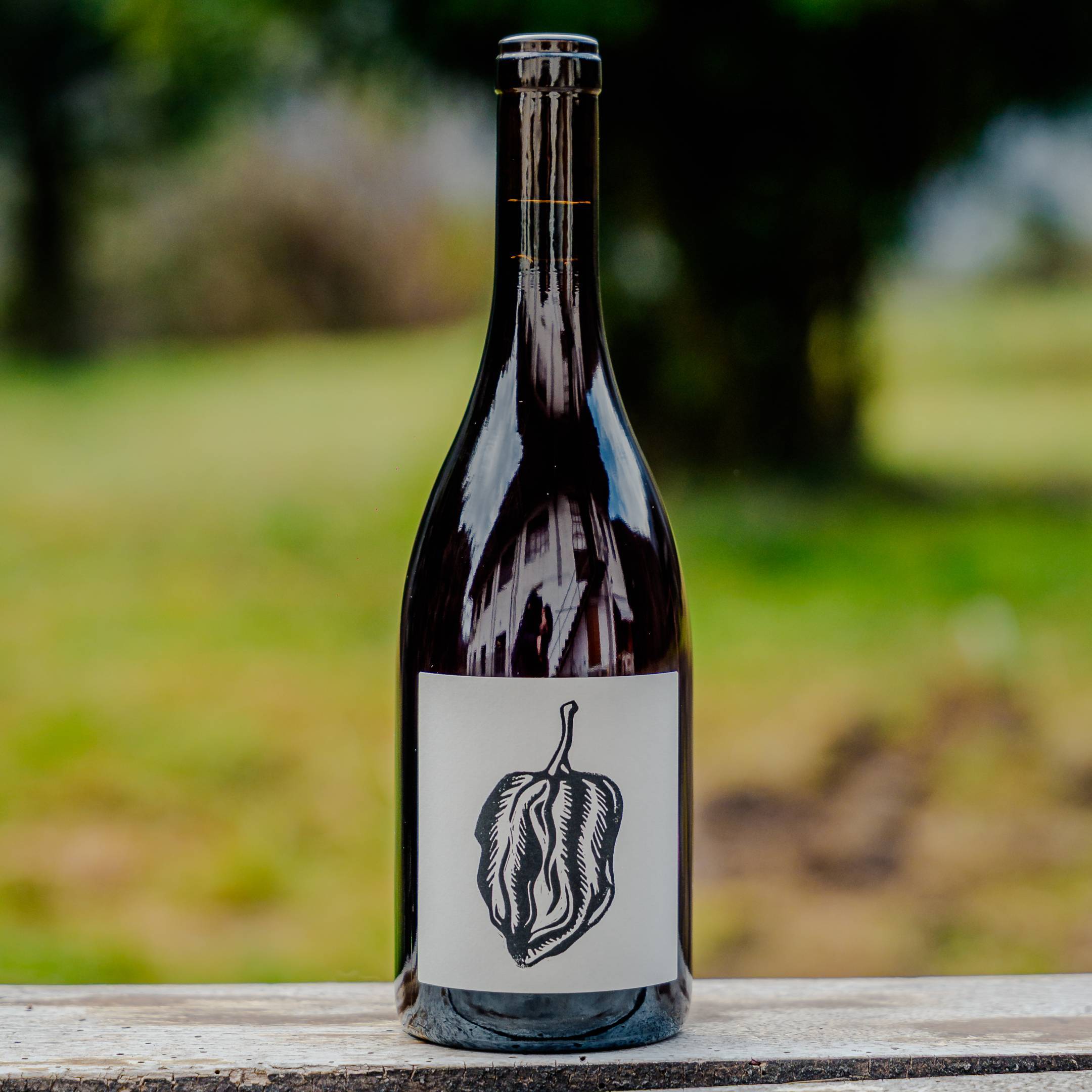 Vin Noé Jonathan Purcell Salt & Pepper 2024