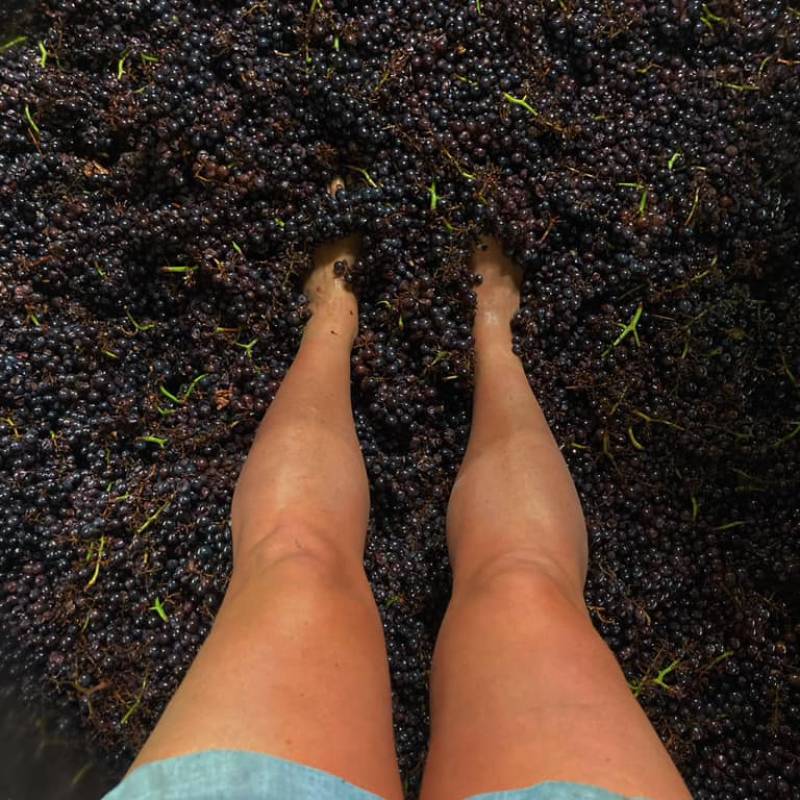 Hautes Cote De Beaune Chardonnay 2022