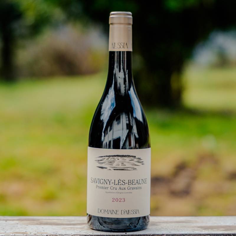 Savigny les Beaune 1er Cru Aux Gravains 2023