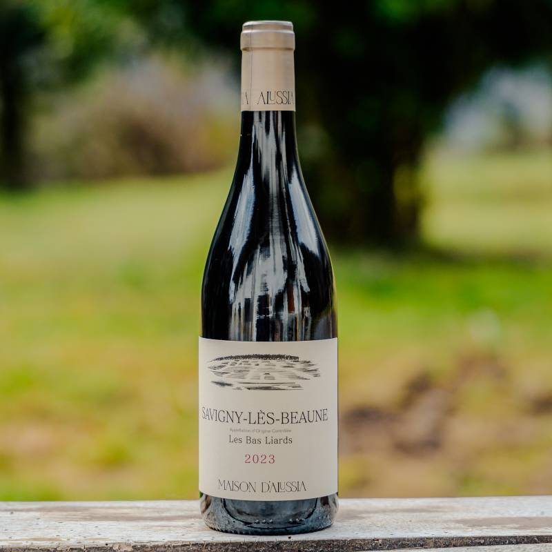 Savigny les Beaune Les Bas Liards 2023