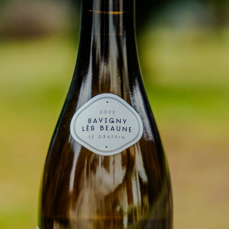 Savigny les Beaune Blanc