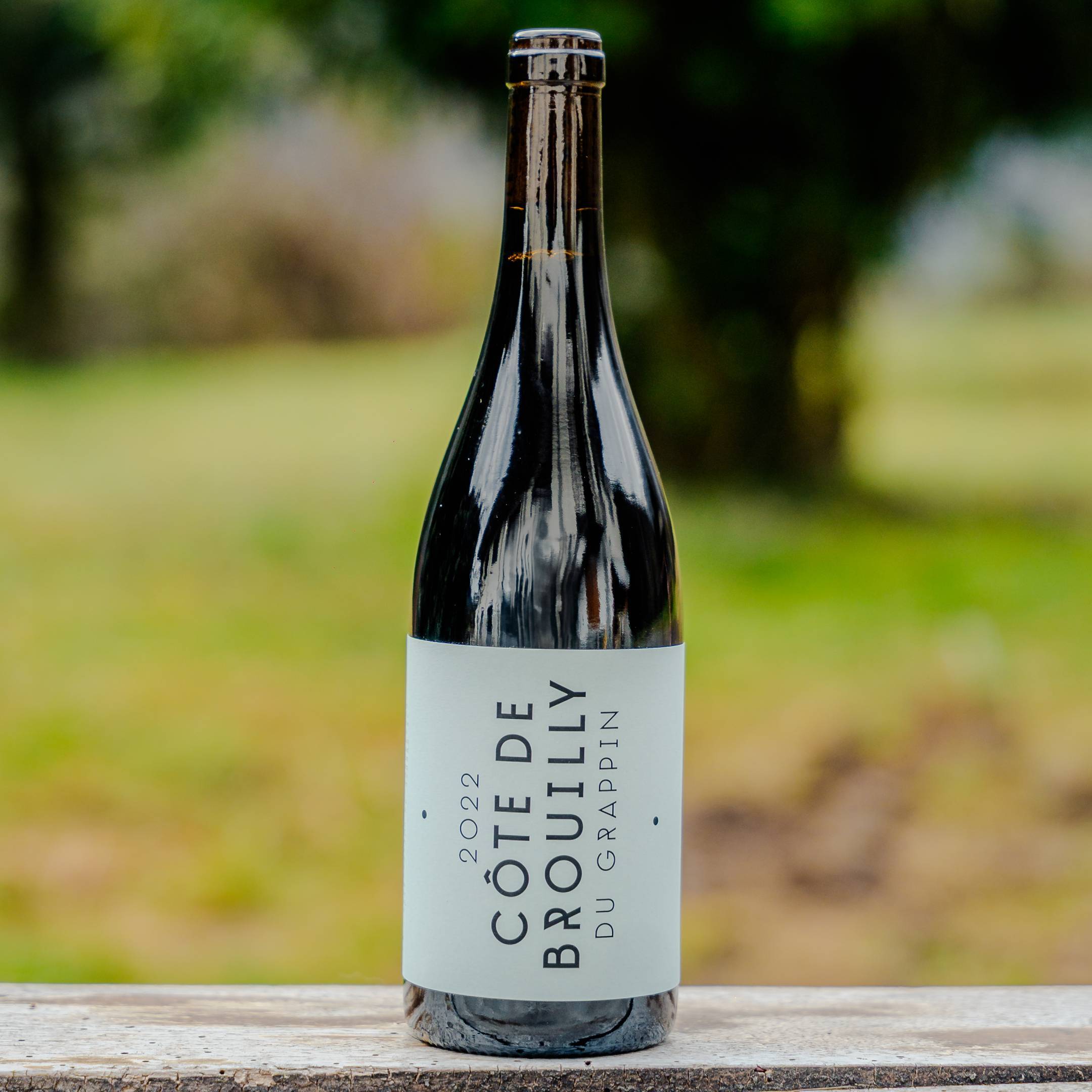 Le Grappin Côte de Brouilly 2022