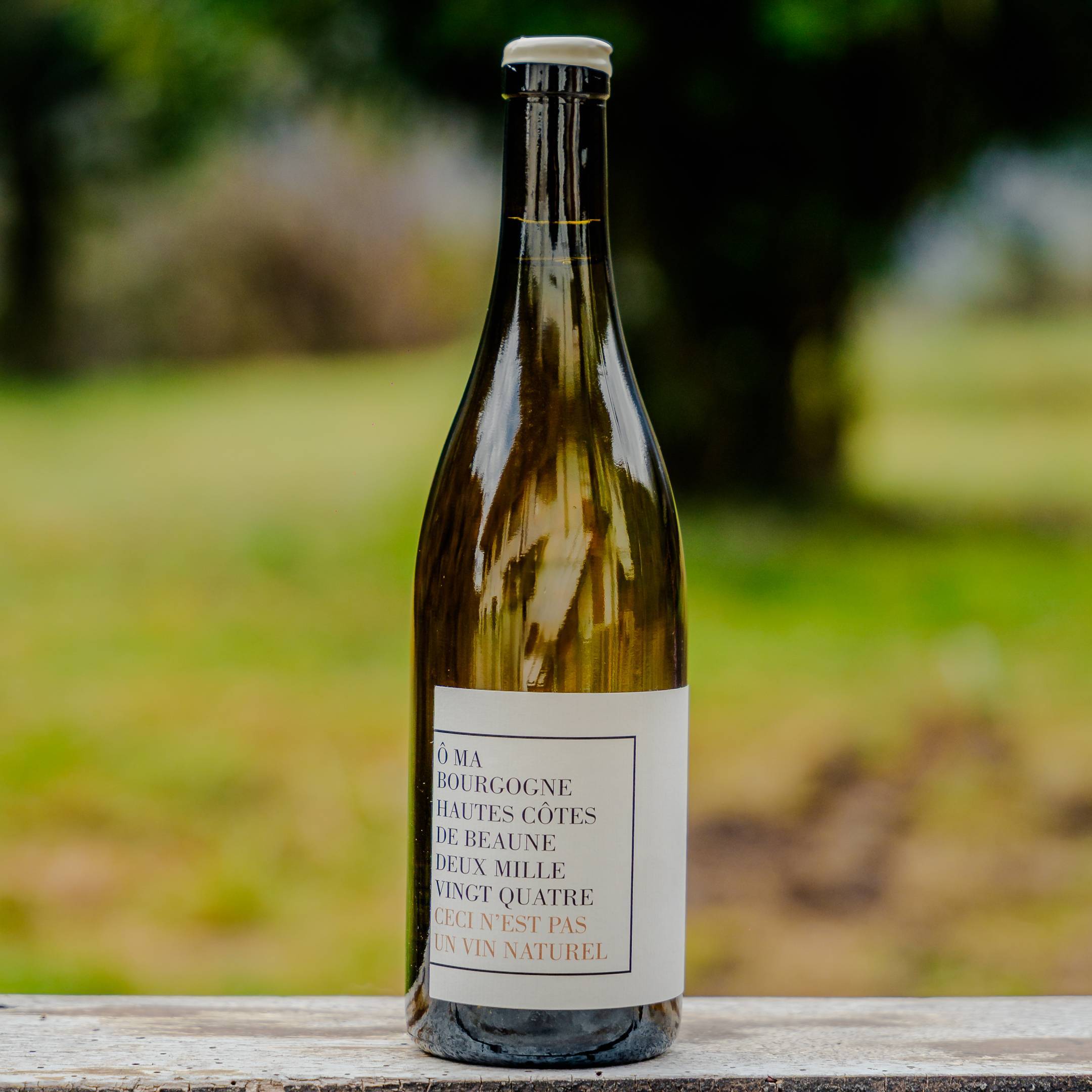 OMA Santenay Hautes Cotes de Beaune Blanc 2024