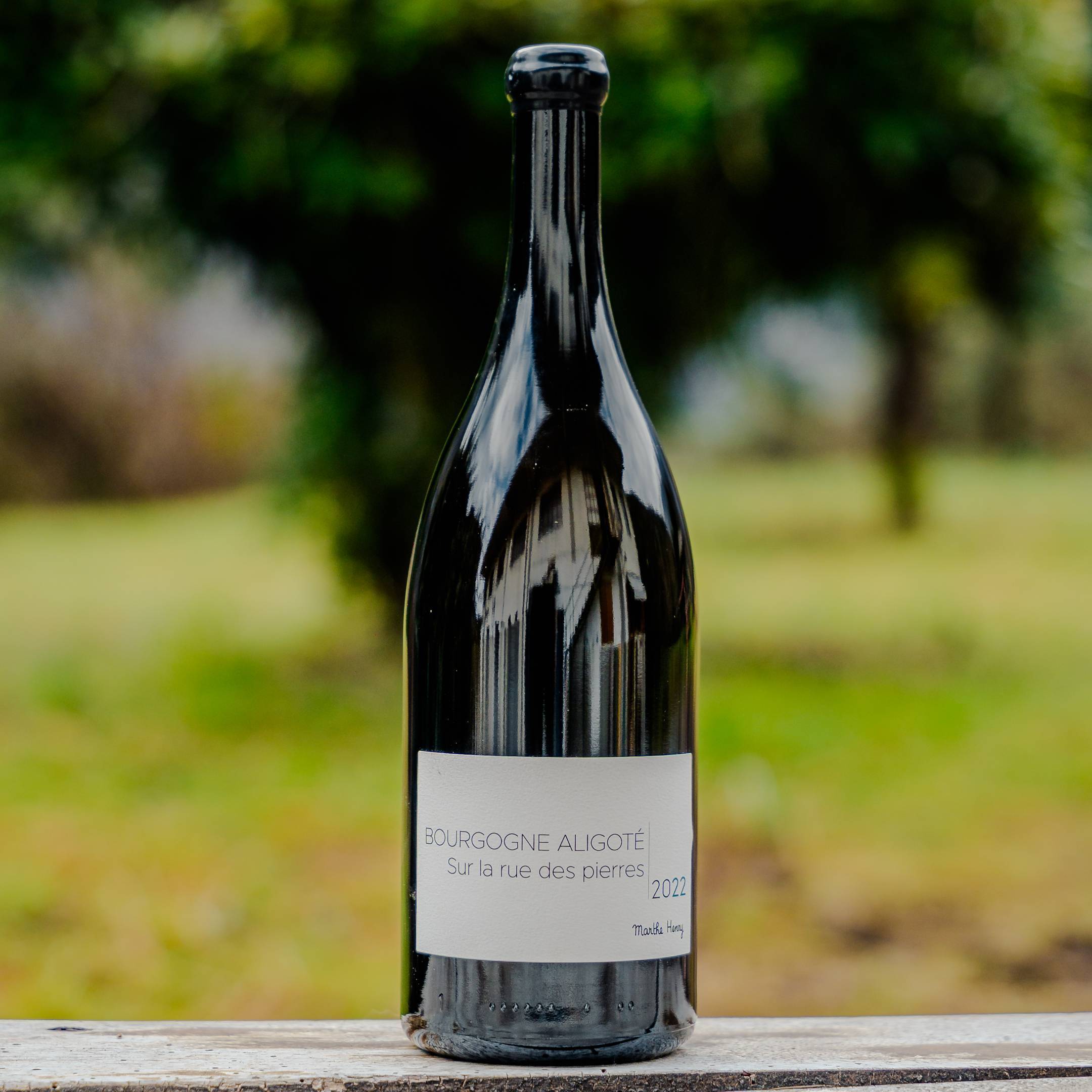Marthe Henry Bourgogne Aligote Magnum