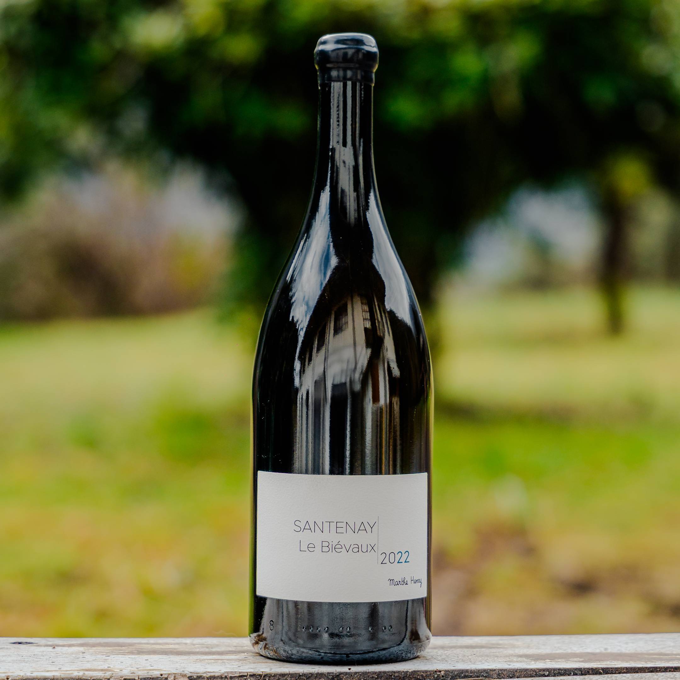 Marthe Henry Santenay le Bievaux 2022 Magnum