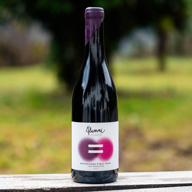 Bourgogne Pinot Noir Les Chaillots 2023