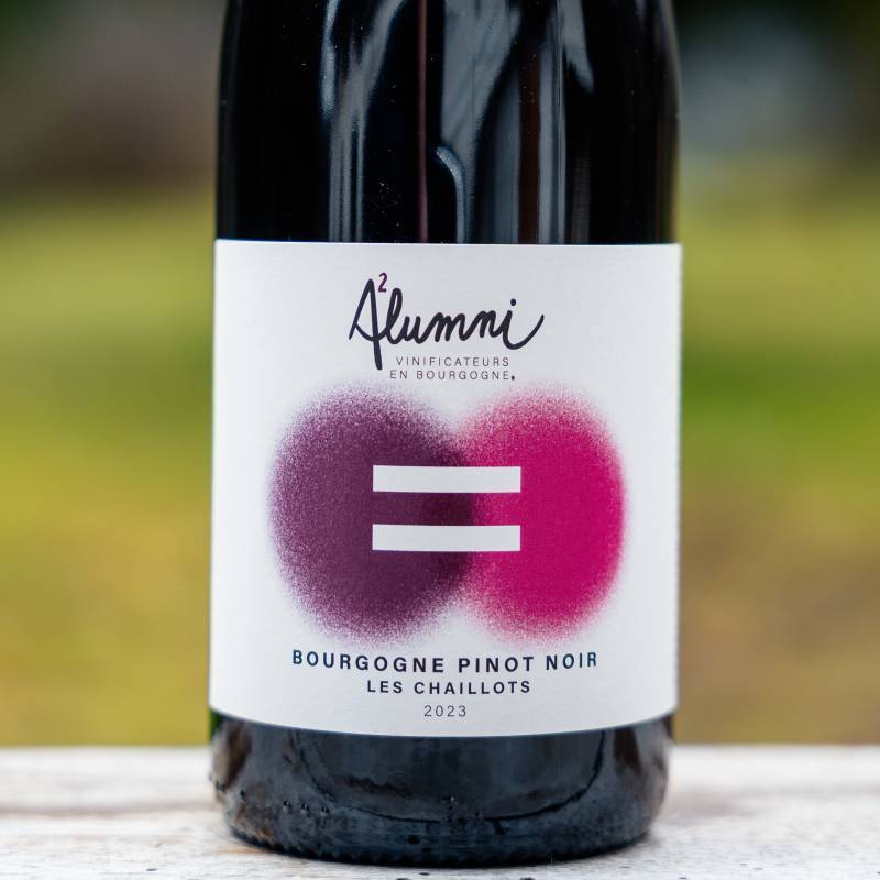 Bourgogne Pinot Noir Les Chaillots 2023