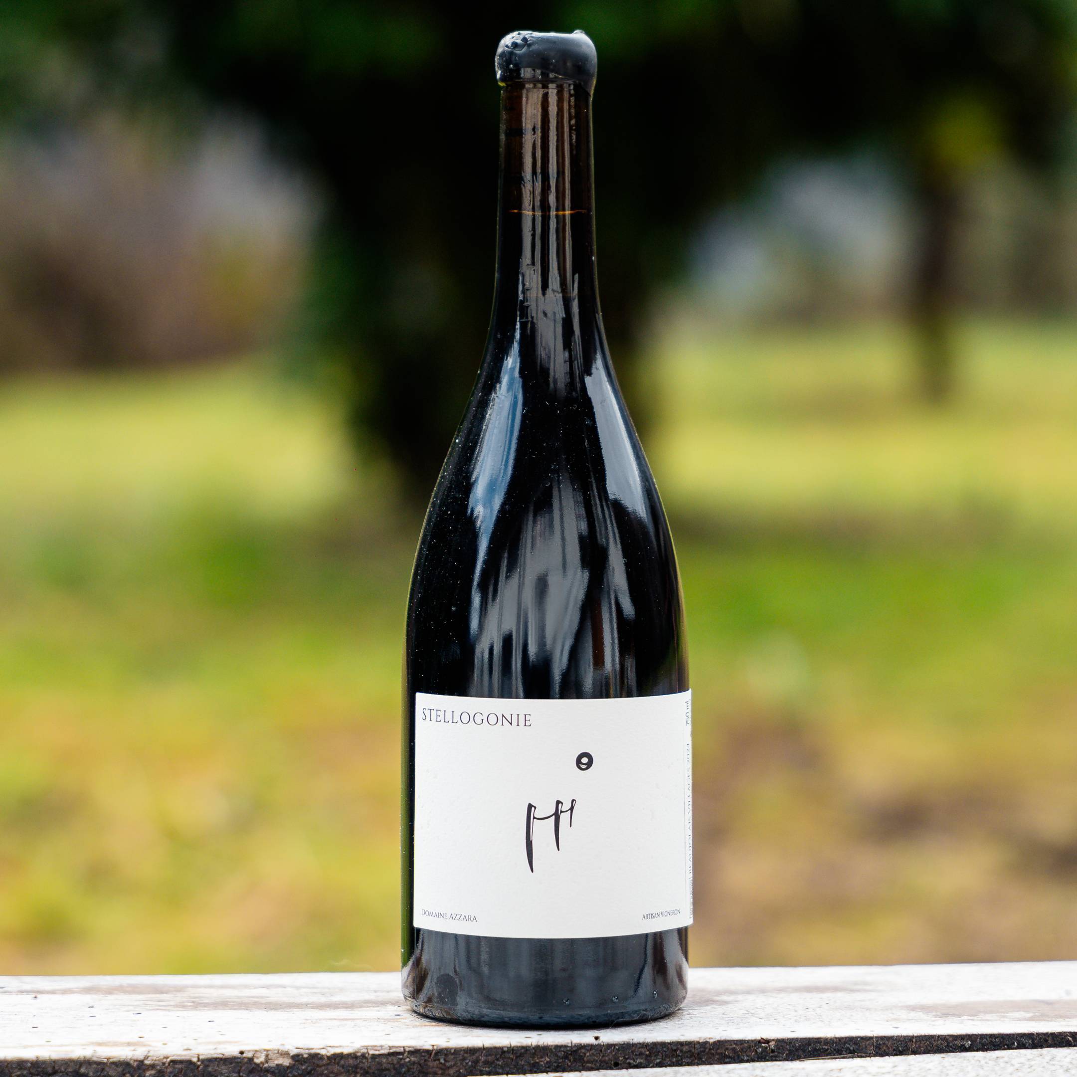 Domaine Benjamin Azzara Beaujolais Villages Stellogonie