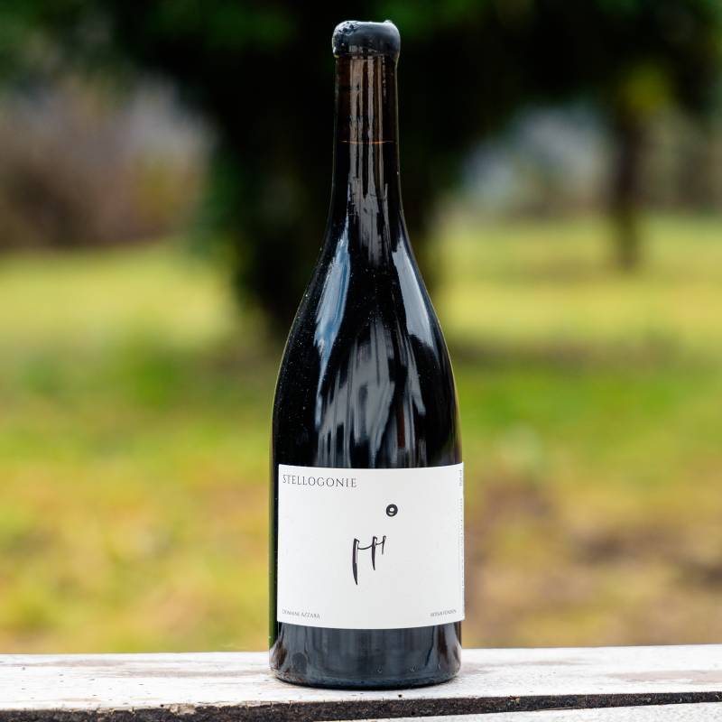 Beaujolais Villages Stellogonie