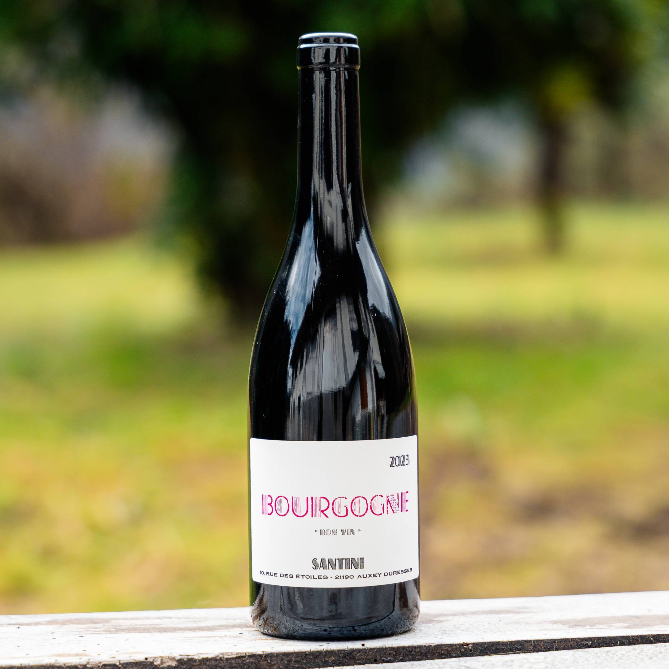 Santini Bourgogne Rouge Bon Vin 2023