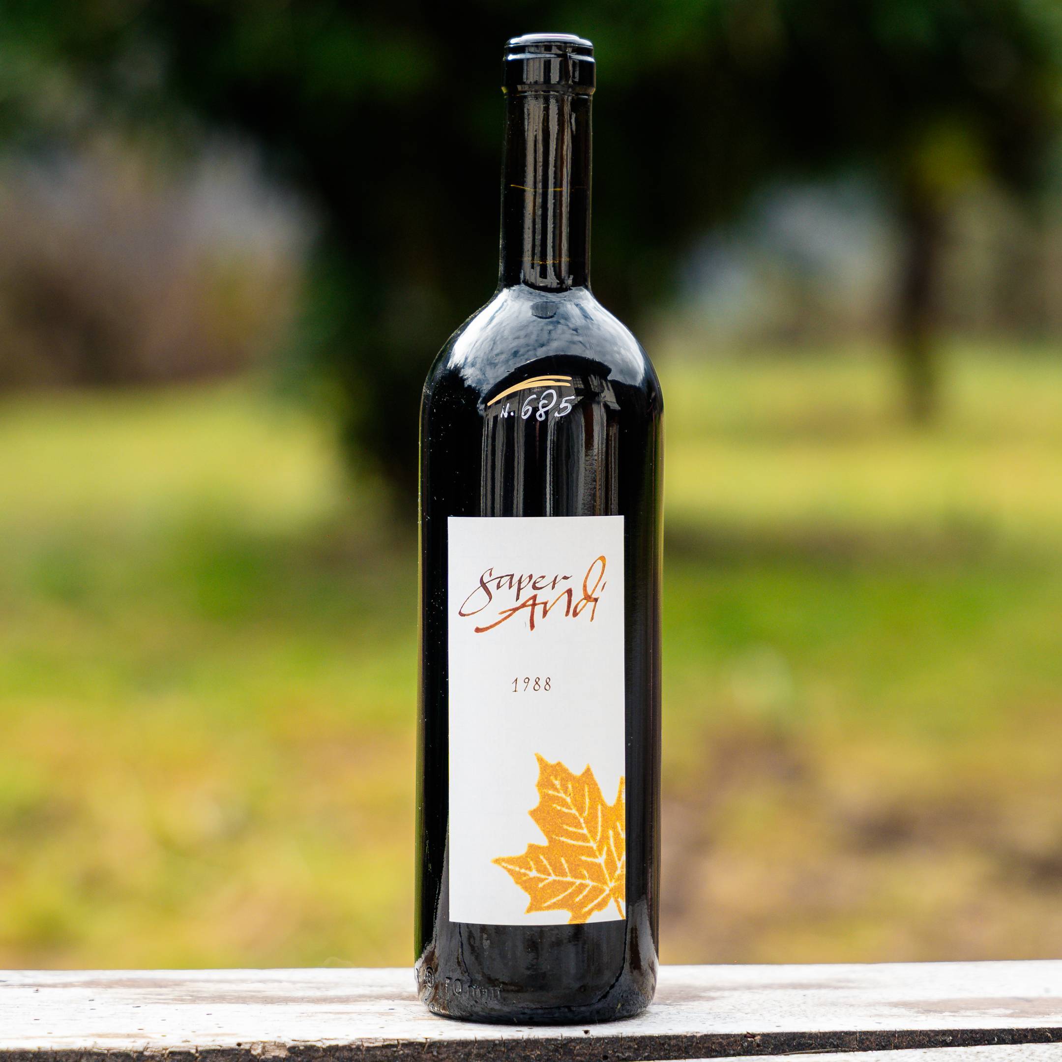 Fausto Andi Saperandi Luogo dei Monti 1988