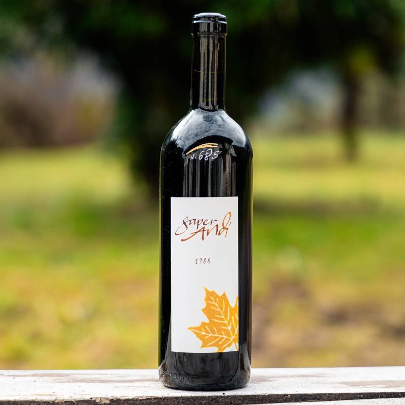 Saperandi Luogo dei Monti 1988