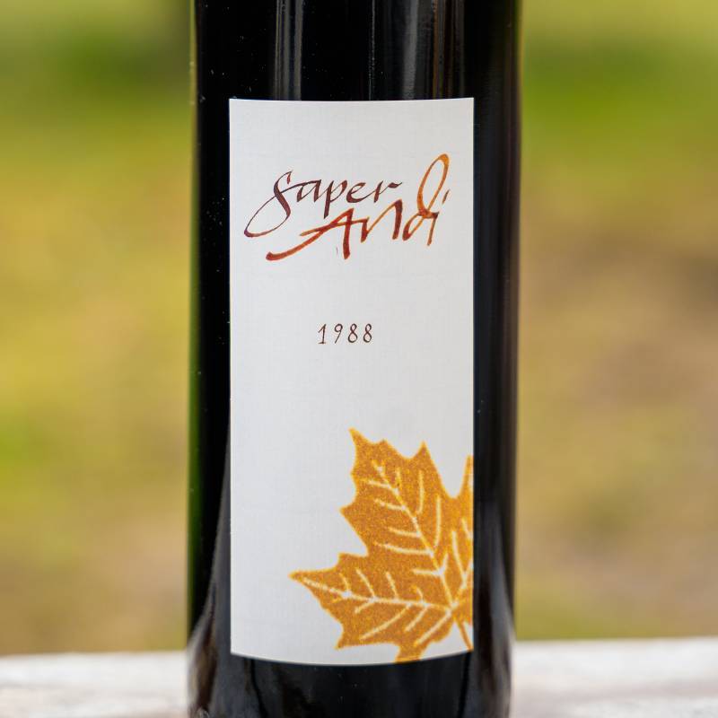 Saperandi Luogo dei Monti 1988