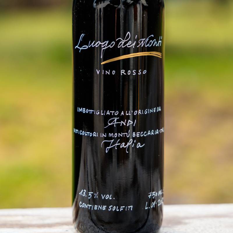 Saperandi Luogo dei Monti 1988