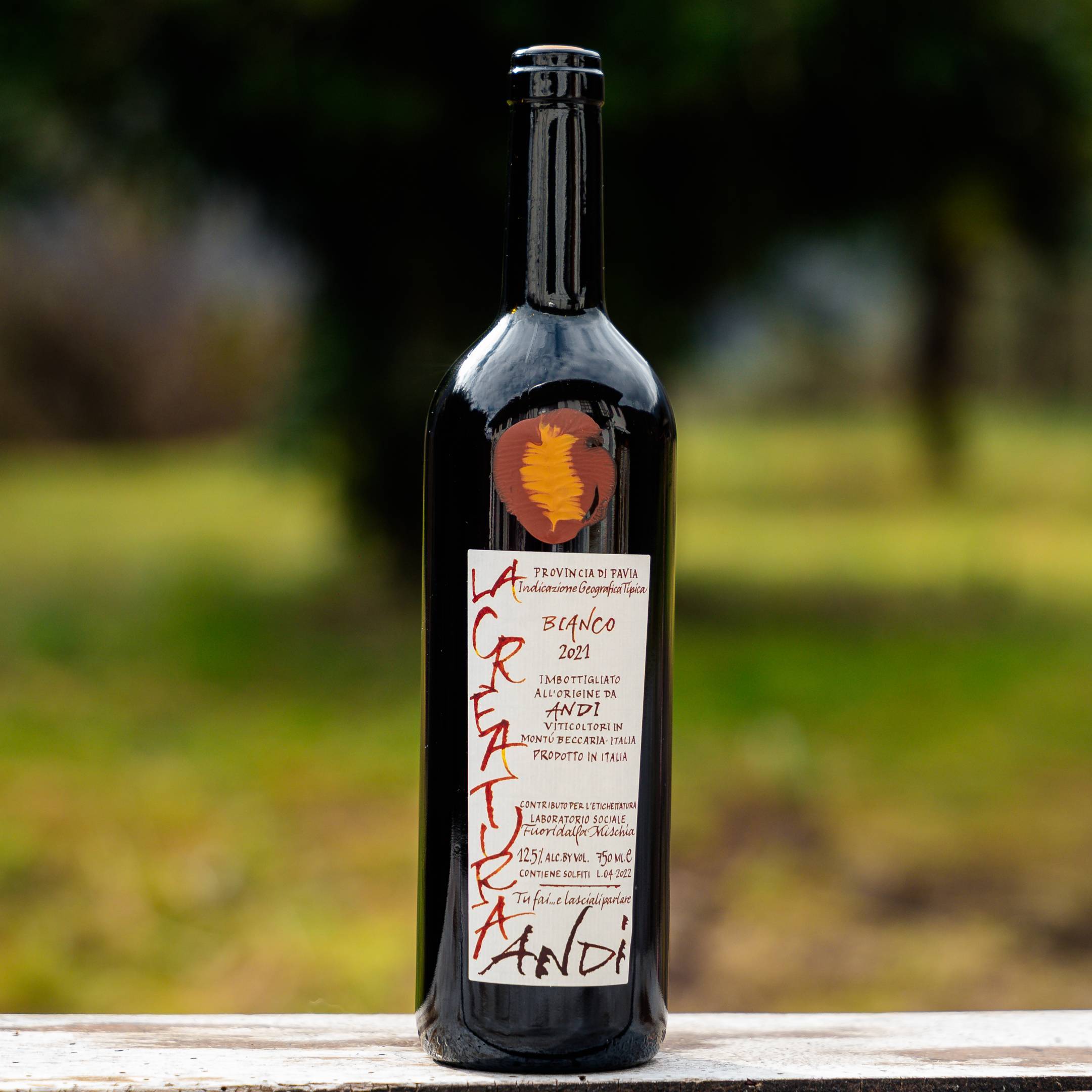 Fausto Andi La Creatura 2021