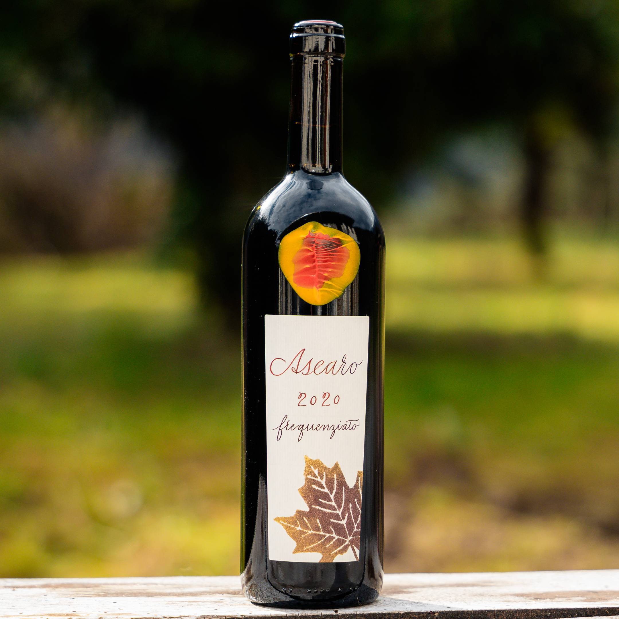 Fausto Andi Ascaro frequenziato 2020