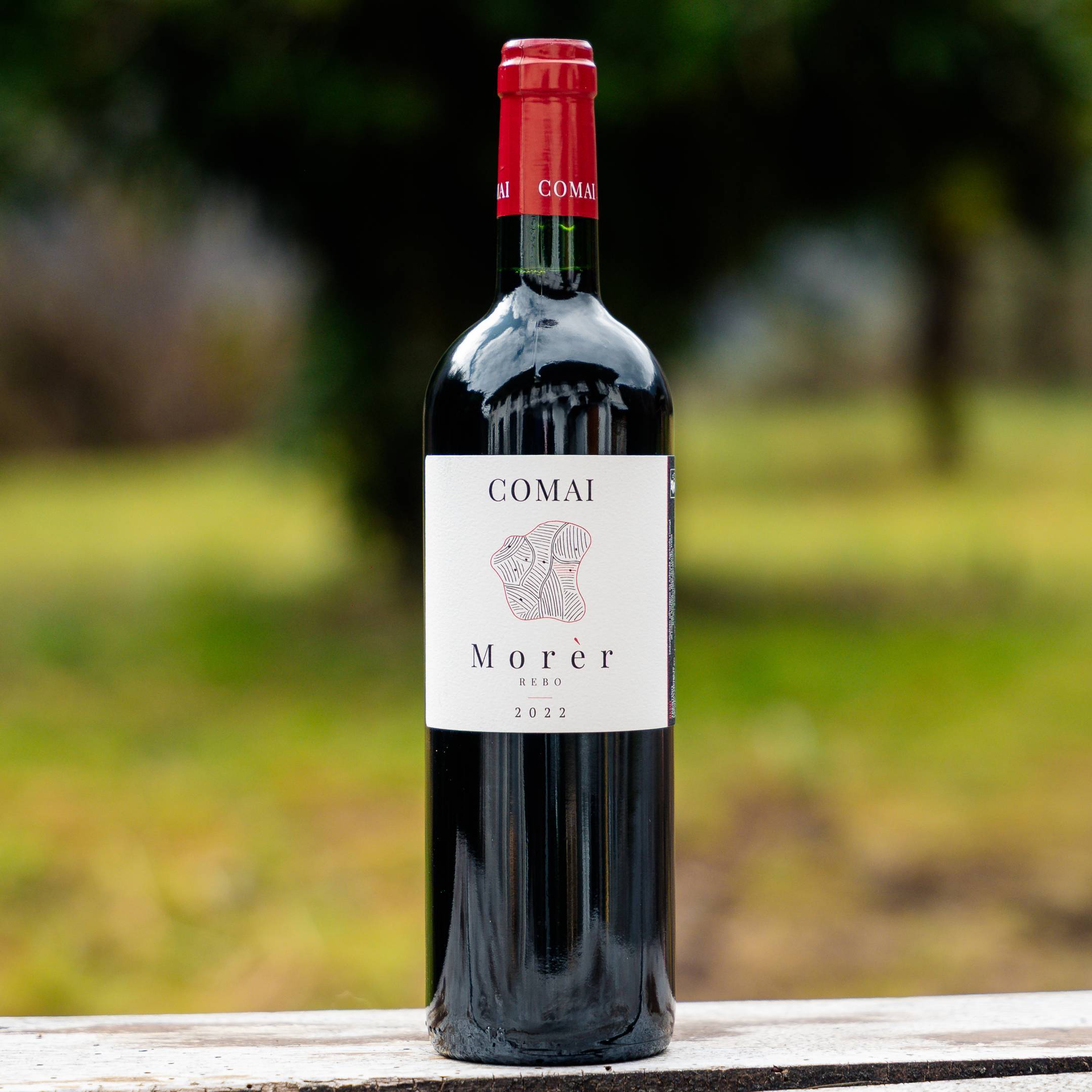 Comai Morer Rebo 2022