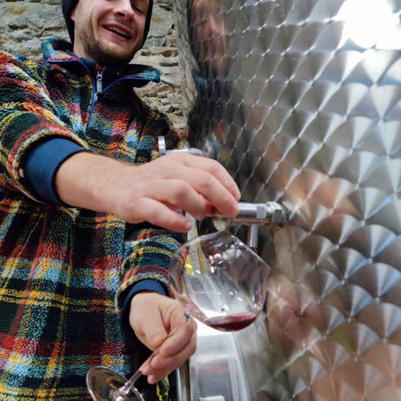 WILD VIGNERON DROP - NEBBIOLO: VALTELLINA vs PIEMONTE