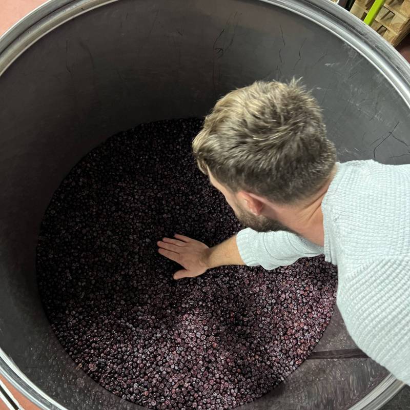 WILD VIGNERON DROP - NEBBIOLO: VALTELLINA vs PIEMONTE