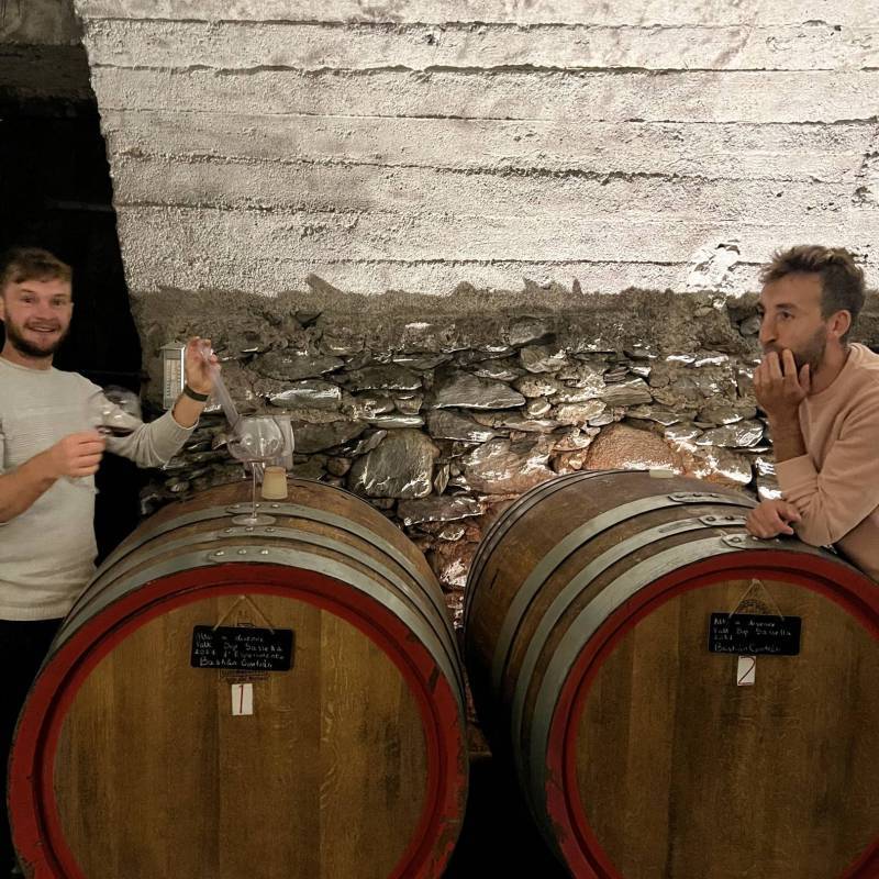 WILD VIGNERON DROP - NEBBIOLO: VALTELLINA vs PIEMONTE