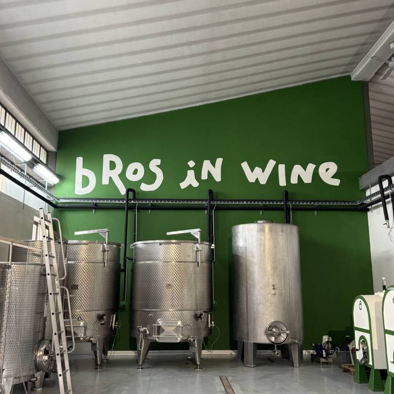 WILD VIGNERON DROP - NEBBIOLO: VALTELLINA vs PIEMONTE