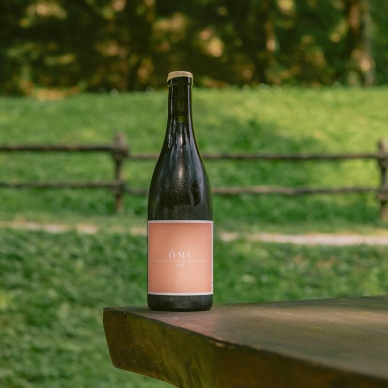 Coteaux-Bourguignons Rouge 2023