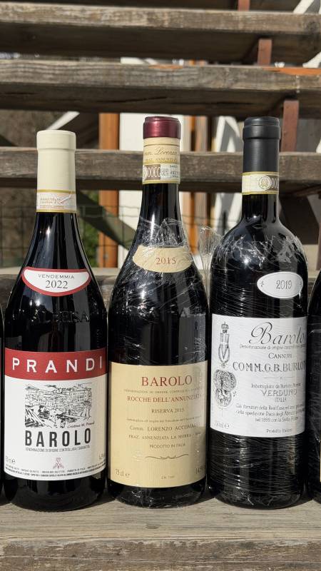 Nebbiolo: Il filo Invisibile tra le rocce della Valtellina e le nebbie di Langa