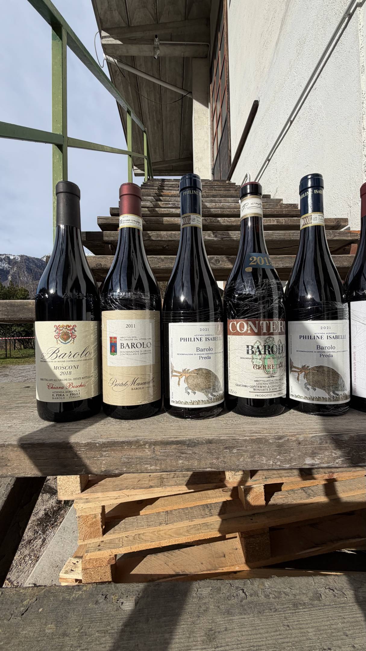 Nebbiolo: Il filo Invisibile tra le rocce della Valtellina e le nebbie di Langa