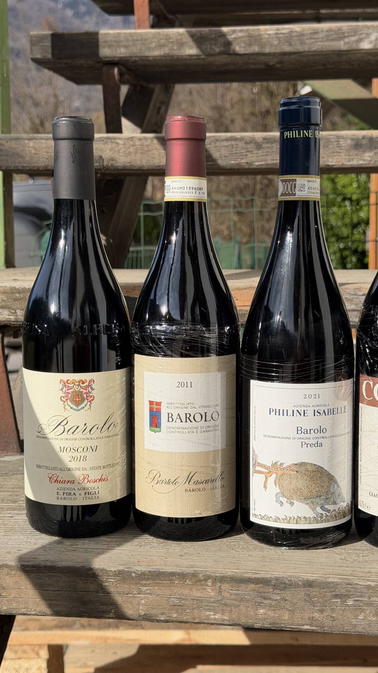 Nebbiolo: Il filo Invisibile tra le rocce della Valtellina e le nebbie di Langa
