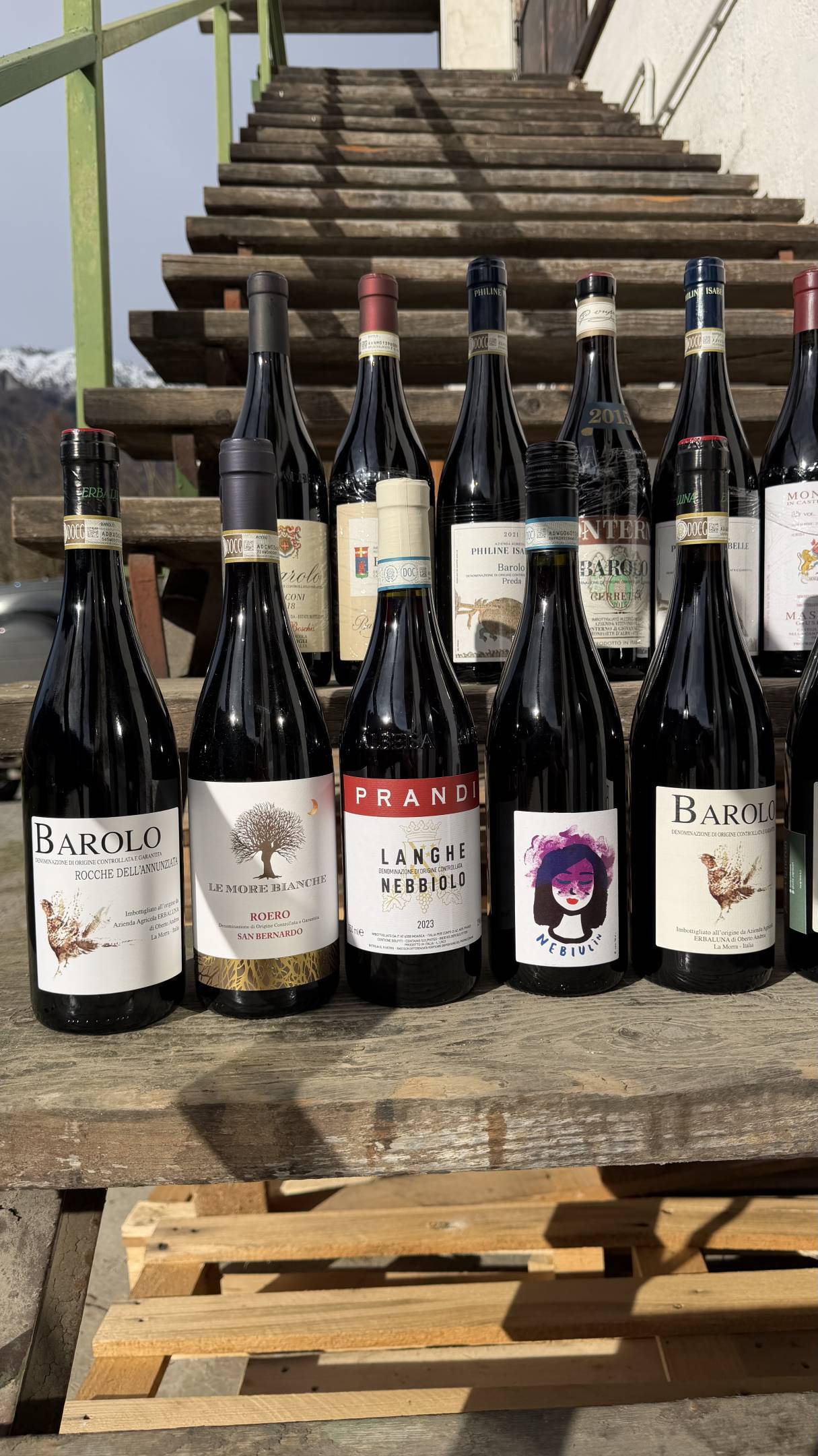 Nebbiolo: Il filo Invisibile tra le rocce della Valtellina e le nebbie di Langa