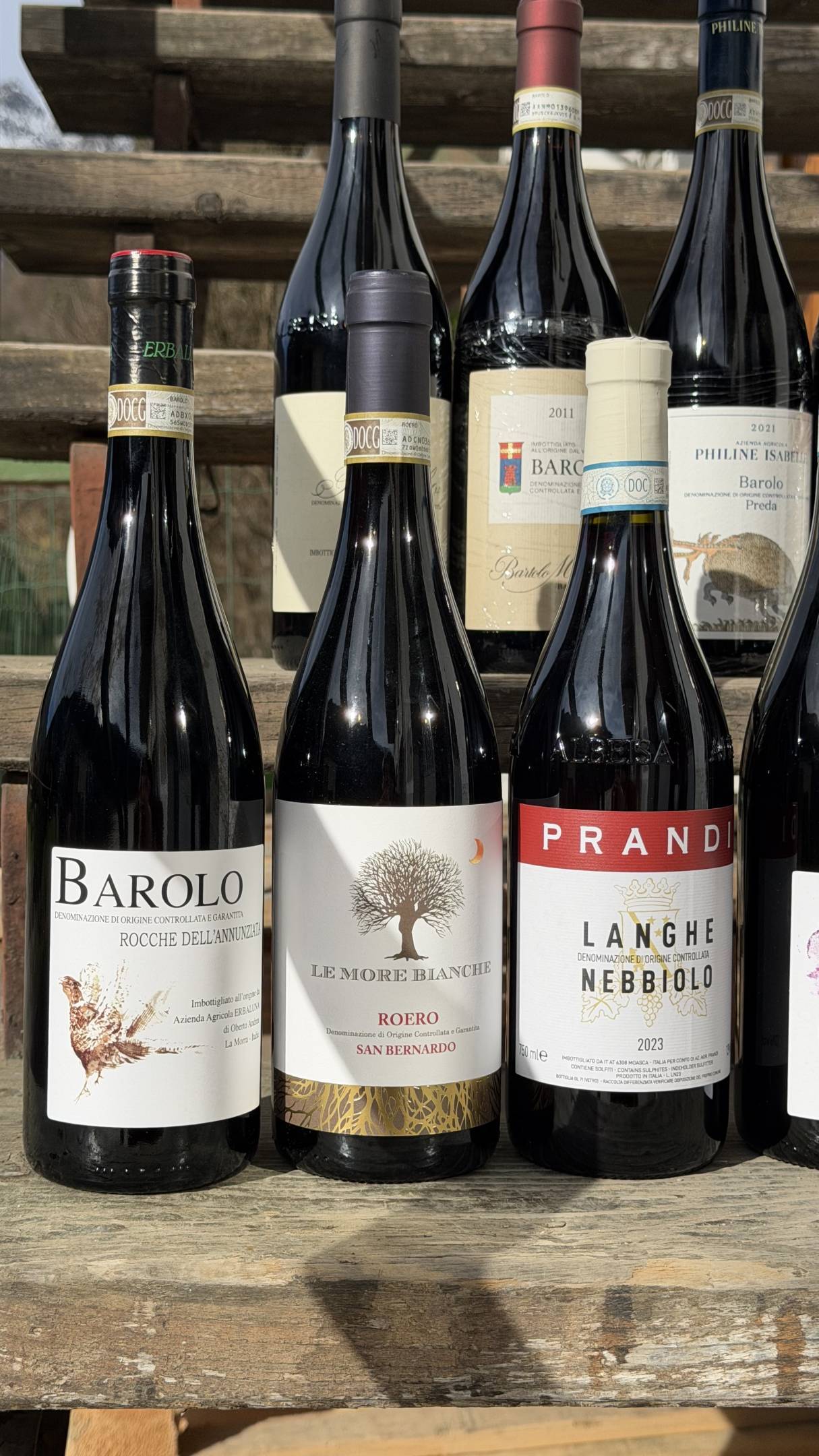 Nebbiolo: Il filo Invisibile tra le rocce della Valtellina e le nebbie di Langa