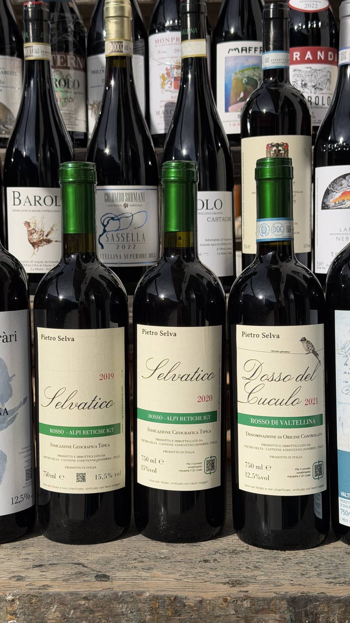 Nebbiolo: Il filo Invisibile tra le rocce della Valtellina e le nebbie di Langa