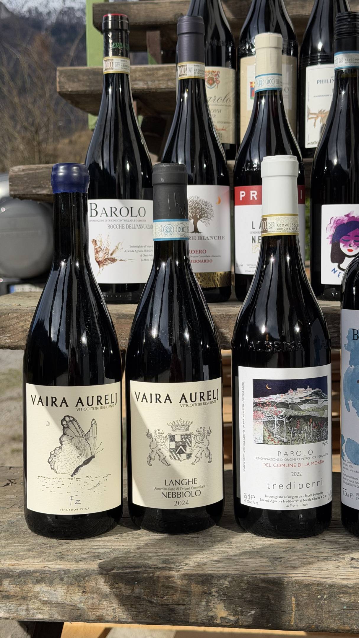 Nebbiolo: Il filo Invisibile tra le rocce della Valtellina e le nebbie di Langa