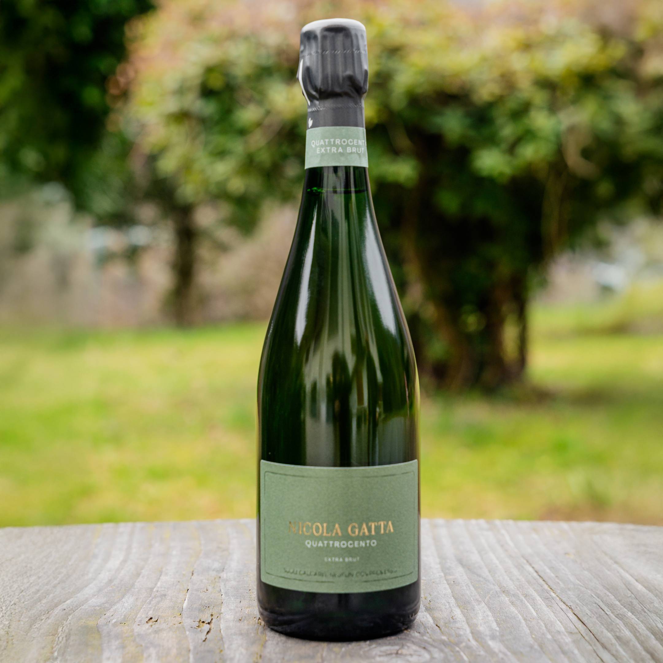 Nicola Gatta Quattrocento