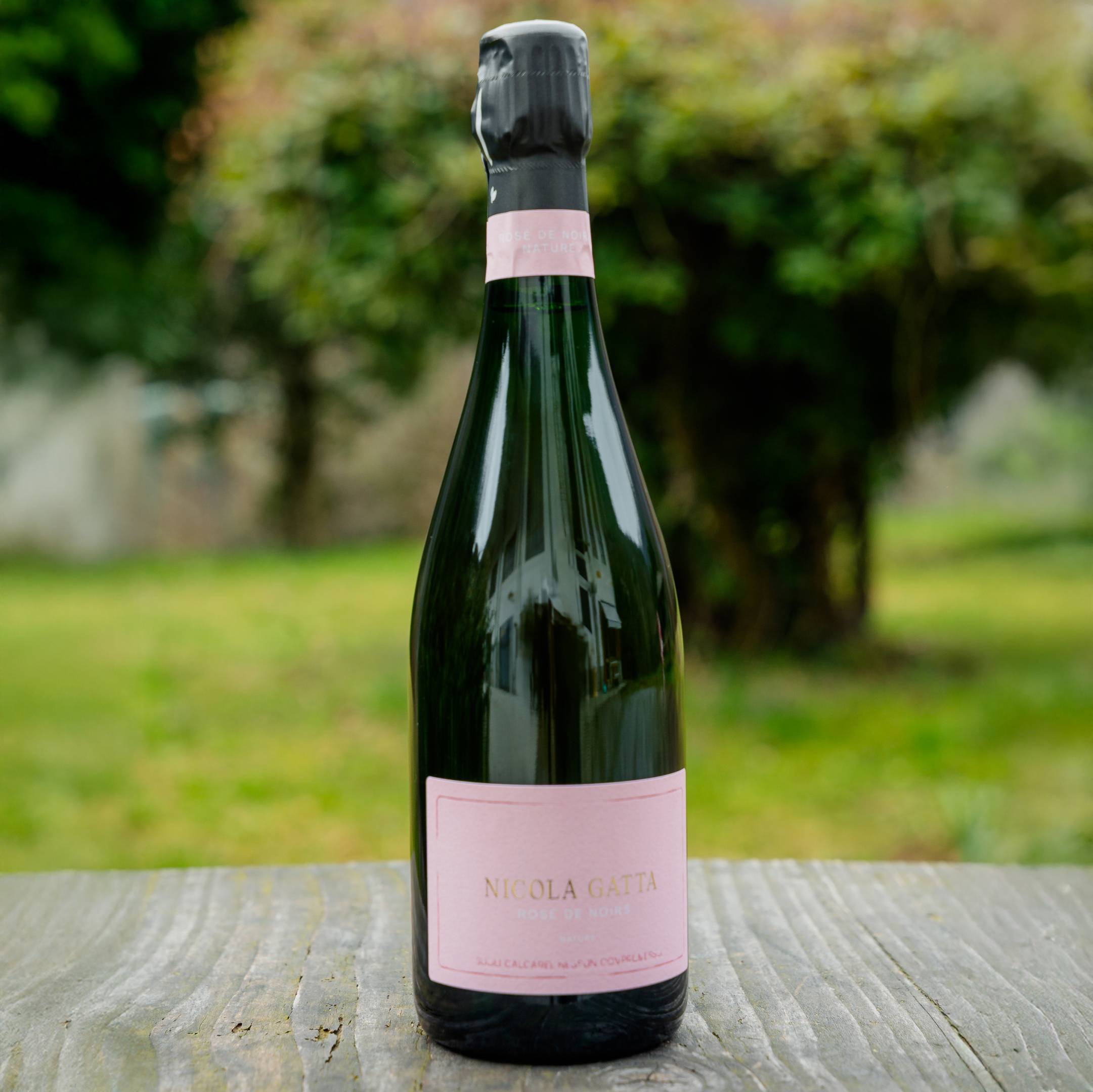 Nicola Gatta Rose de Noirs