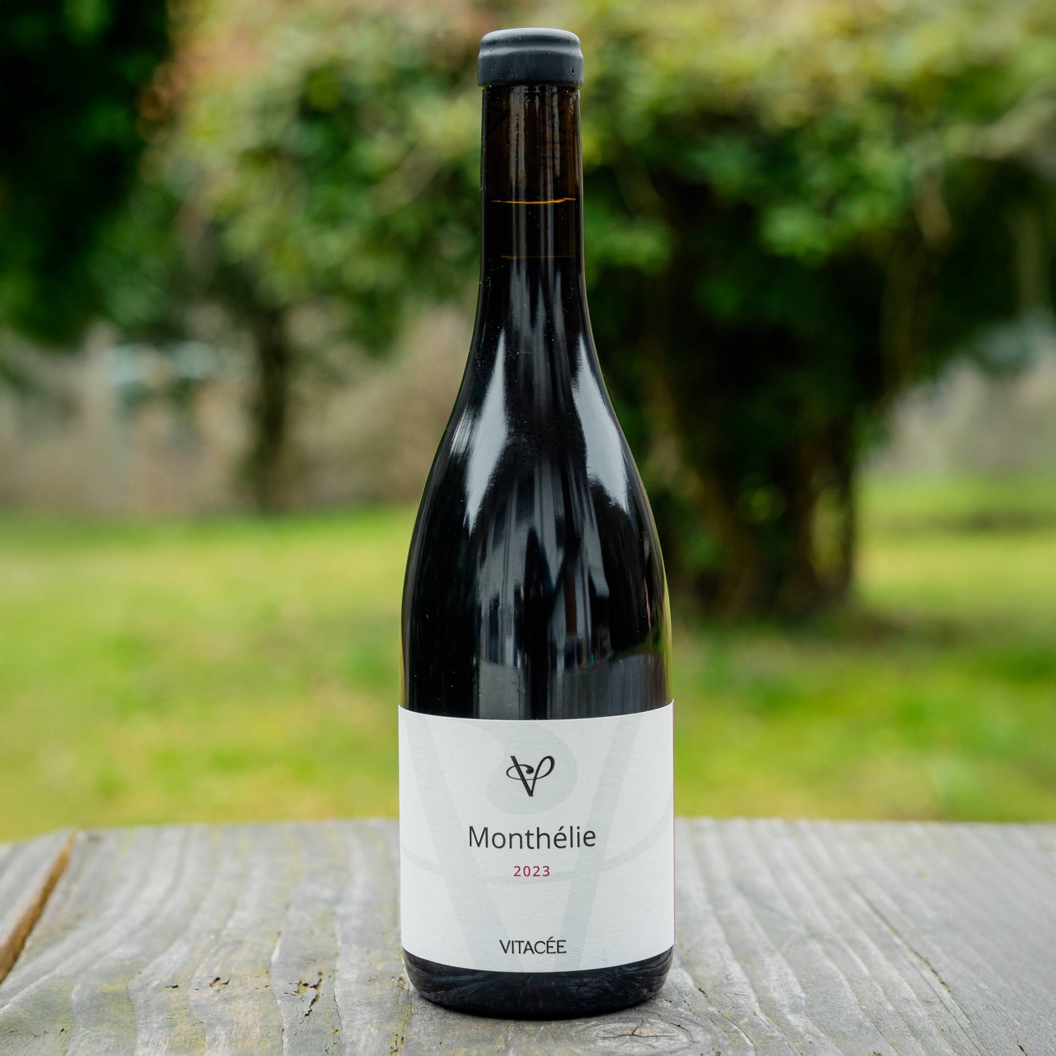 Vitacee Monthelie Rouge 2023