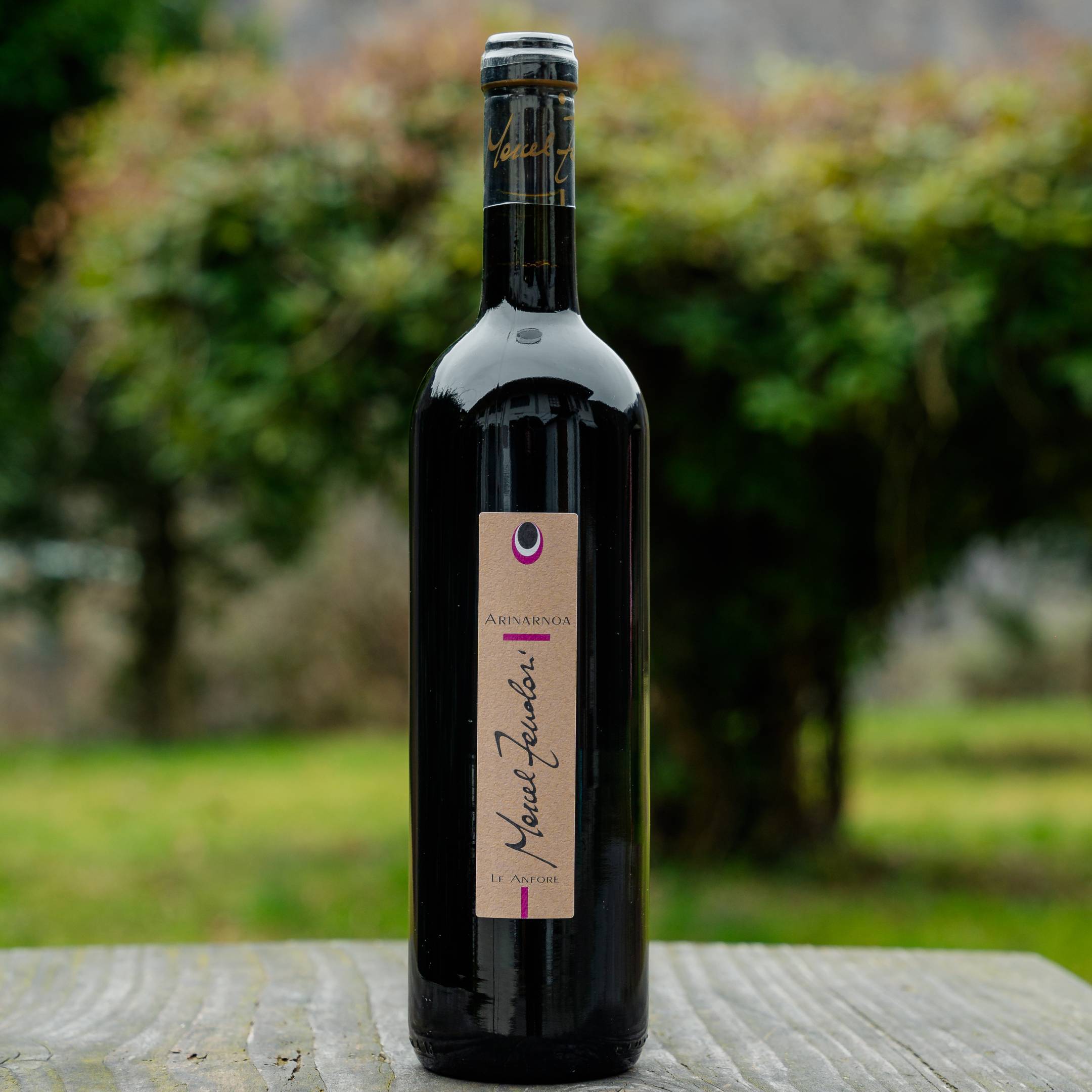 Marcel Zanolari Arinarnoa