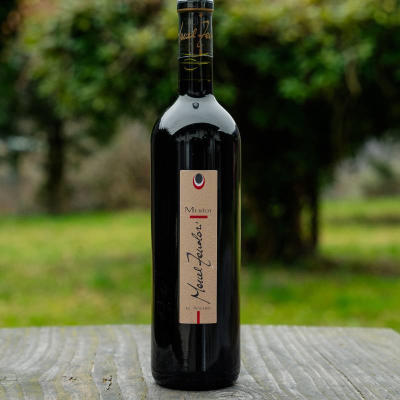 Merlot Montano Anfora