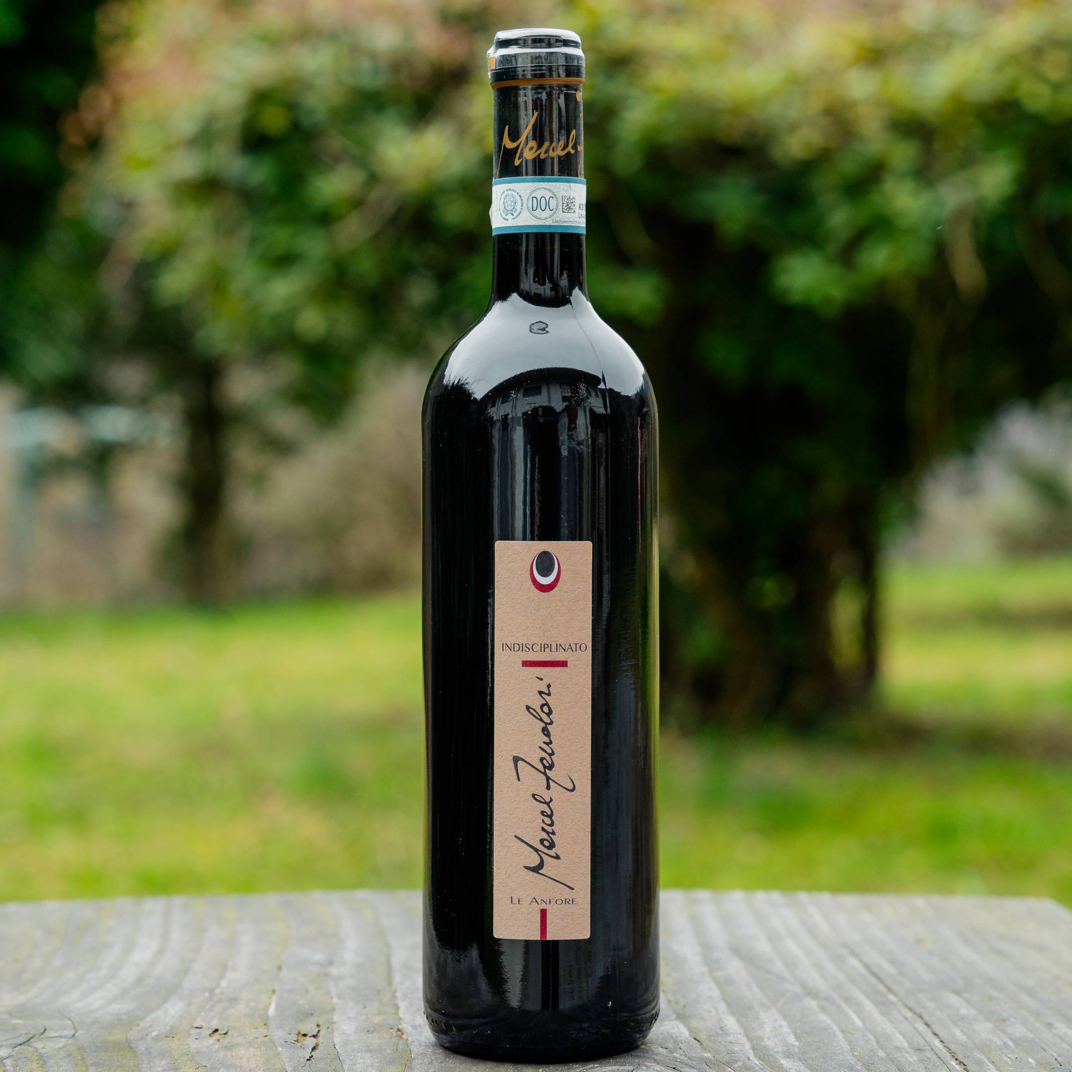 Marcel Zanolari Indisciplinato Anfora