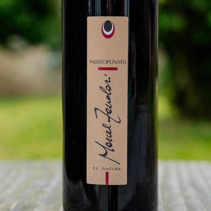 Indisciplinato Anfora