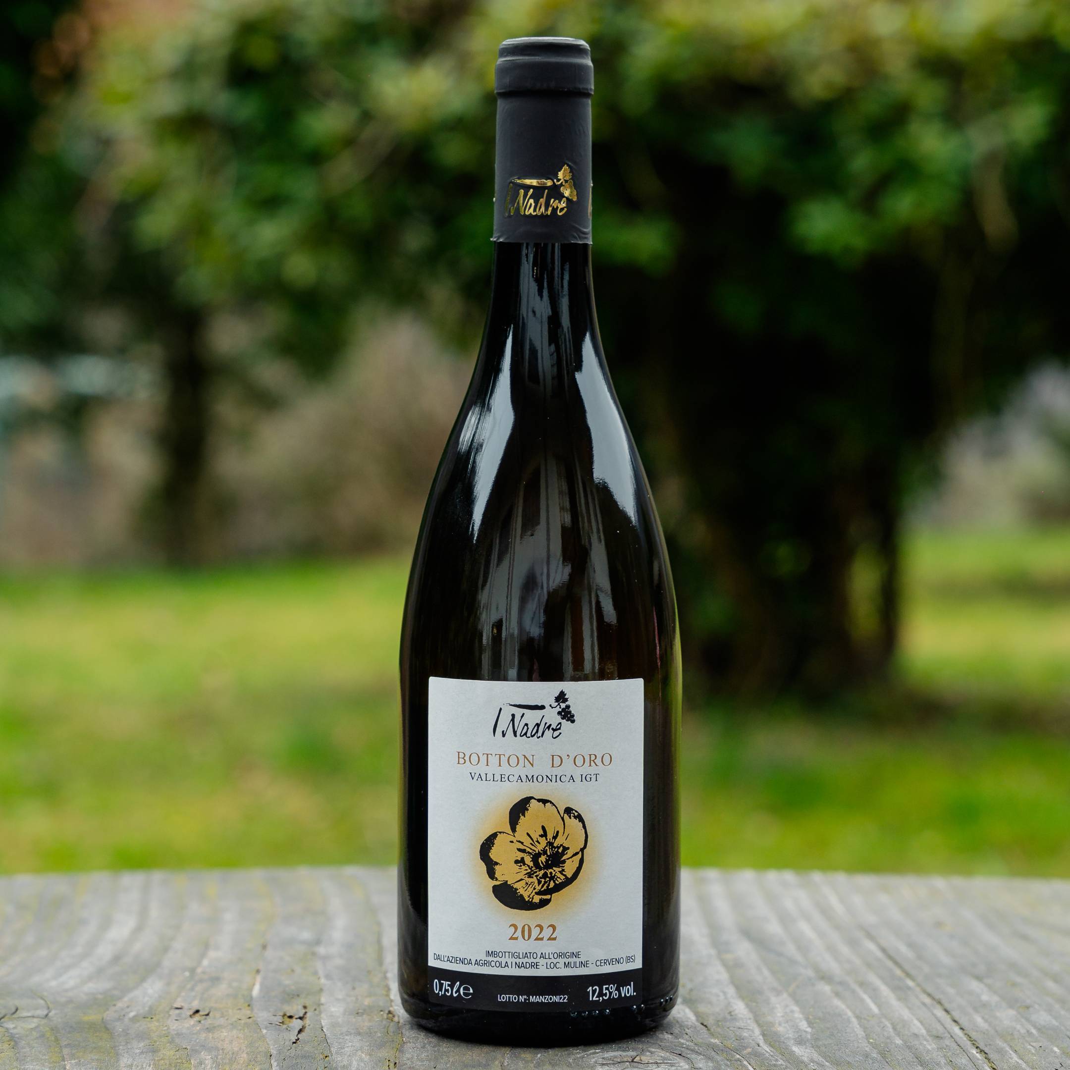 I Nadre Botton D'Oro