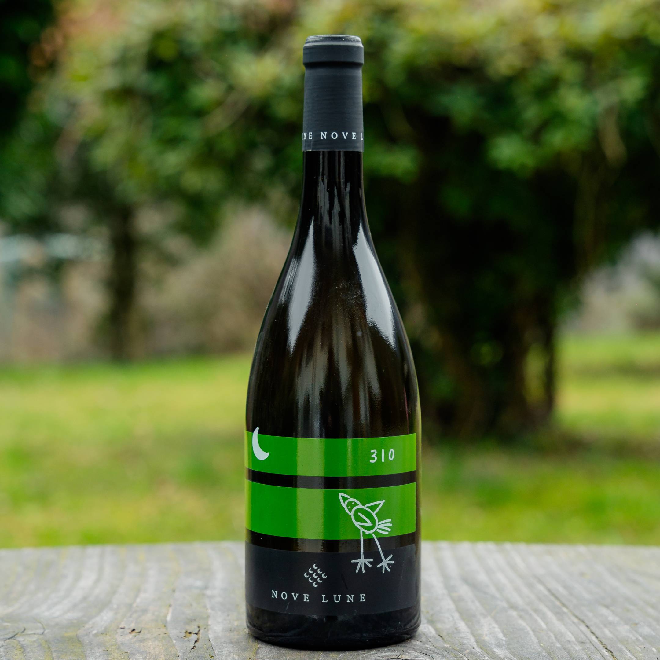 Nove Lune 310