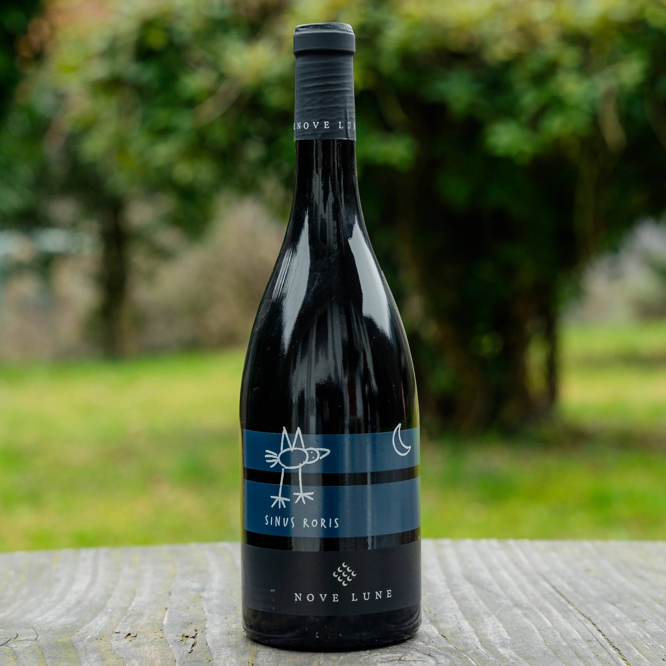 Nove Lune Sinus Roris