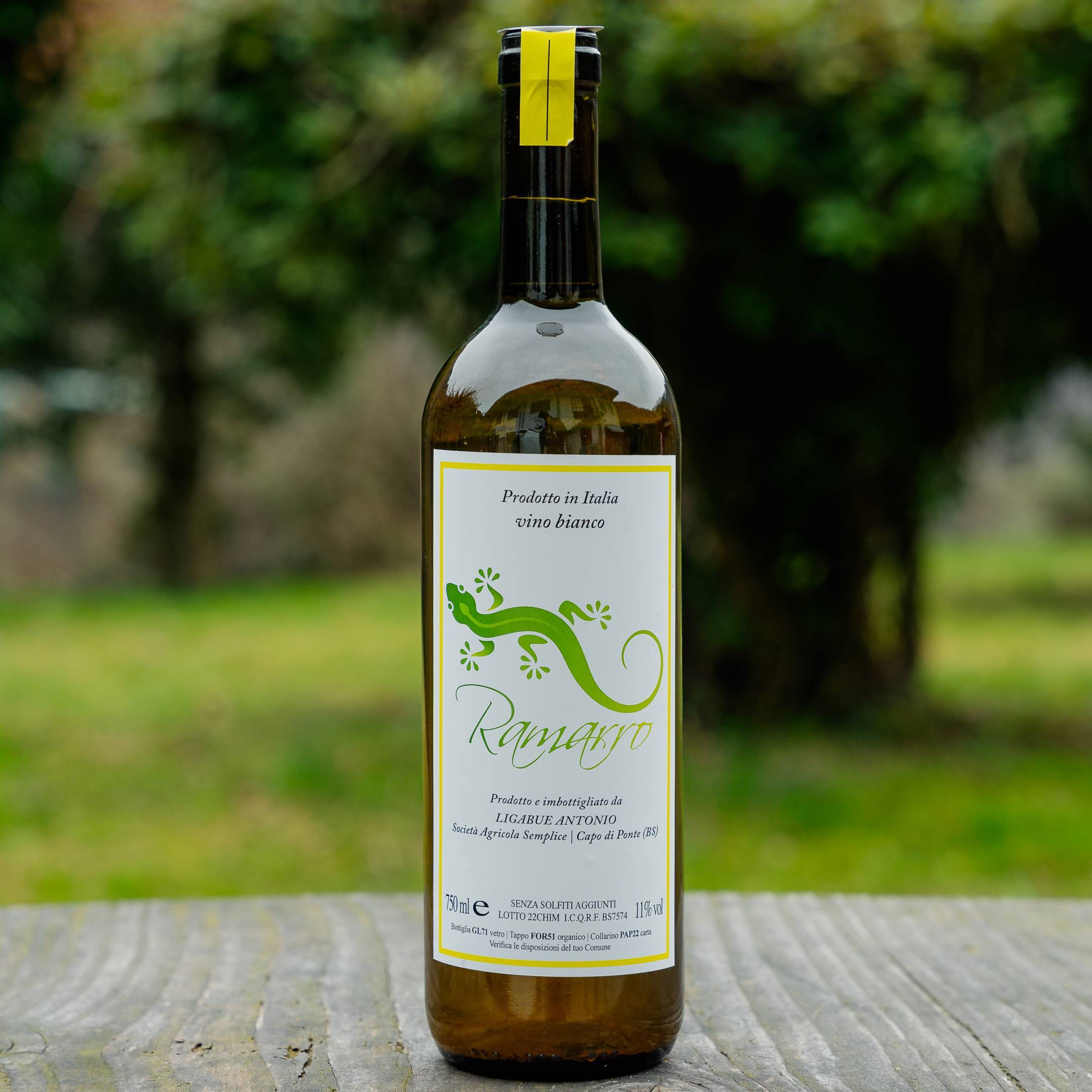 Antonio Ligabue Ramarro 2022