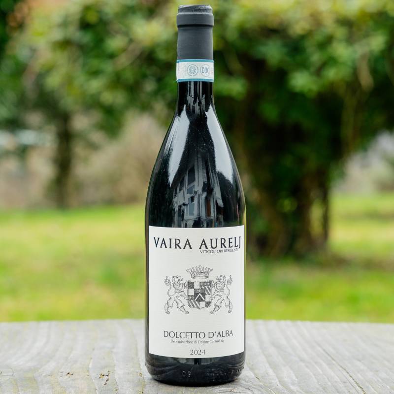 Dolcetto d'Alba 2024